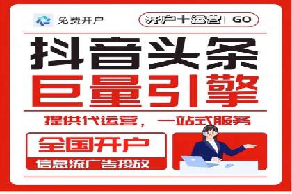 百度竞价与搜索引擎优化（SEO）结合的经典案例